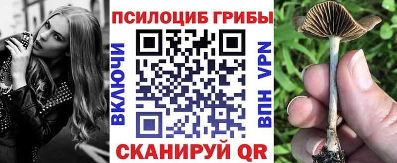 Галлюциногенные грибы GOLDEN TEACHER  Невинномысск 