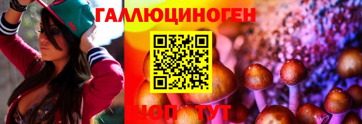Псилоцибиновые грибы GOLDEN TEACHER Невинномысск