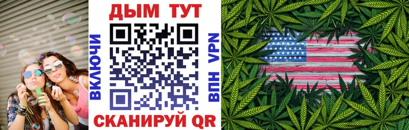 Конопля сатива  что такое наркотик  Невинномысск 